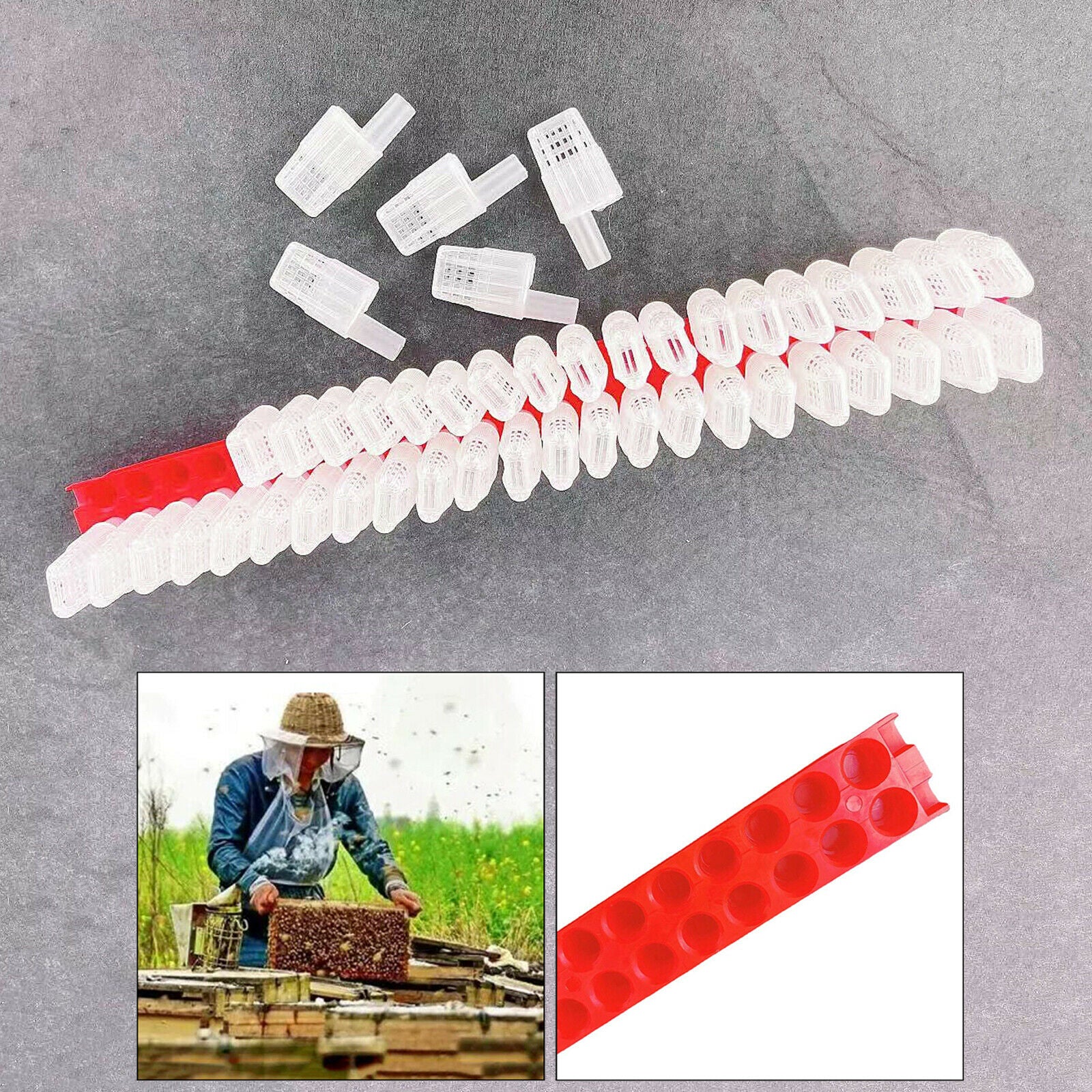 46x Professional Plastic Queen Bee Moving Isolator Trap Cage Case Beekeeping