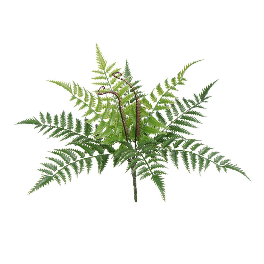 Natural Real Dried Leaves Press Dry Ferns Leaves for Nail Art Decor DIY