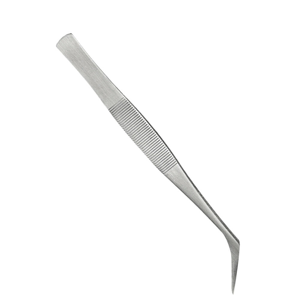 2Pcs Eyelash Tweezers Curved Flat Clip Extension False Lash Applicator Clamp Set