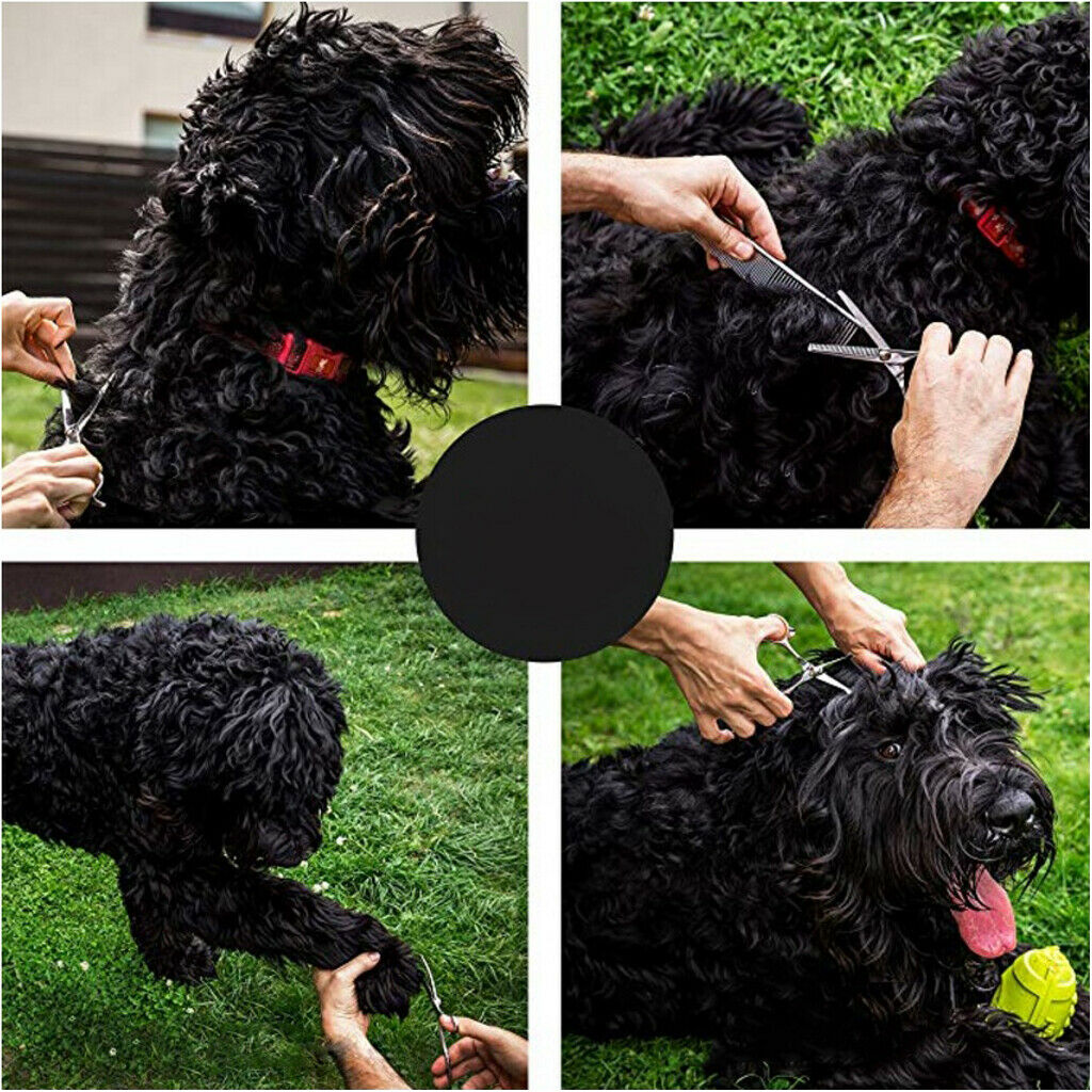 6Pcs Professional Pet Dog Grooming Scissors Set Straight Curved Thinning Kit