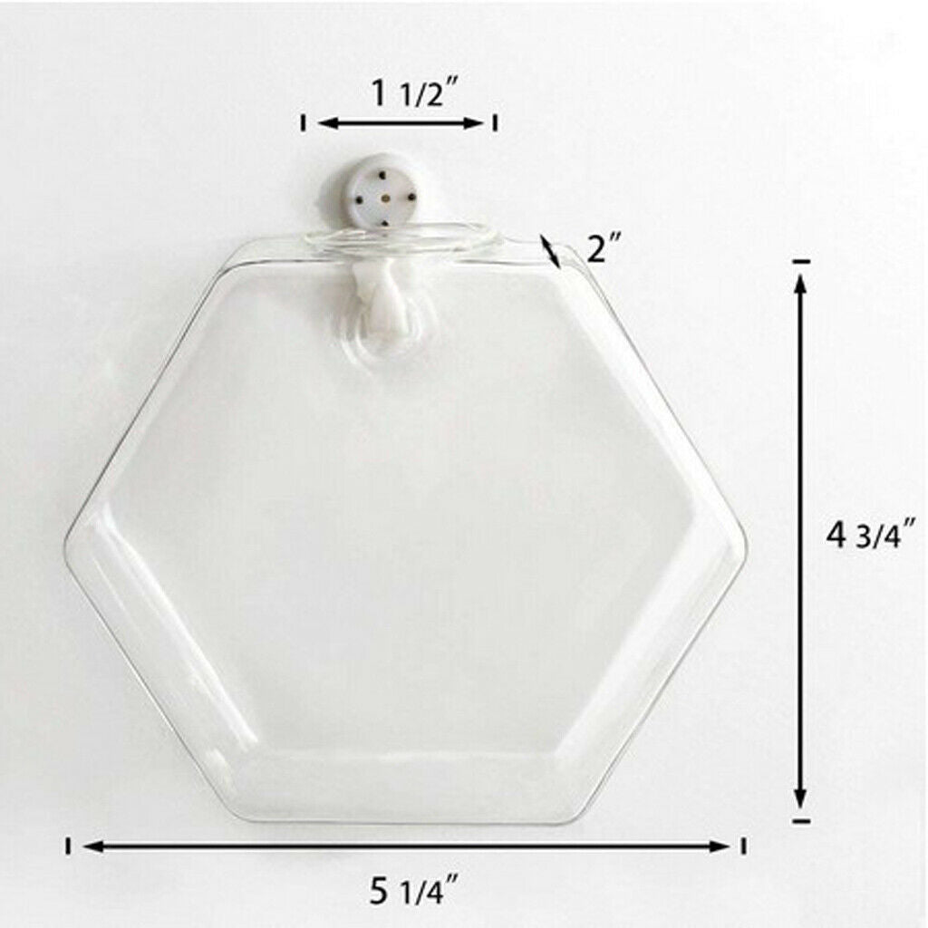 Hexagon Hanging Planters Hydroponic Pot Small Fish Tank Wall Art Decor