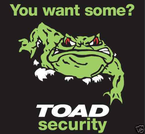 2 x TOAD CAR ALARM REPLACEMENT WINDOW STICKERS. BRAND NEW QUALITY ITEM