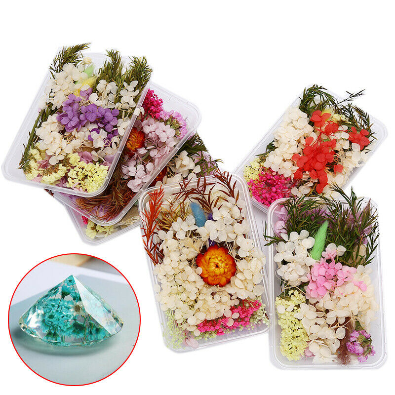 1 Box Random Mix Natural Dried Flowers Decoration Epoxy Mold DIY Filling .l8