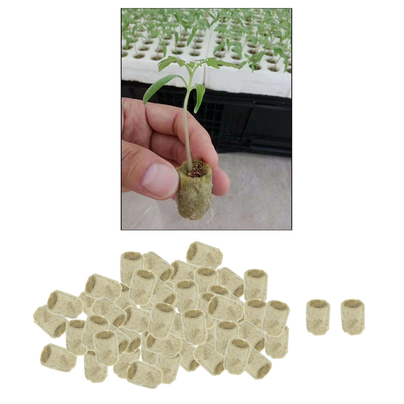 50x Plant Starter Plugs Cubes Rockwool Hydroponic Grow Media Nursery Block