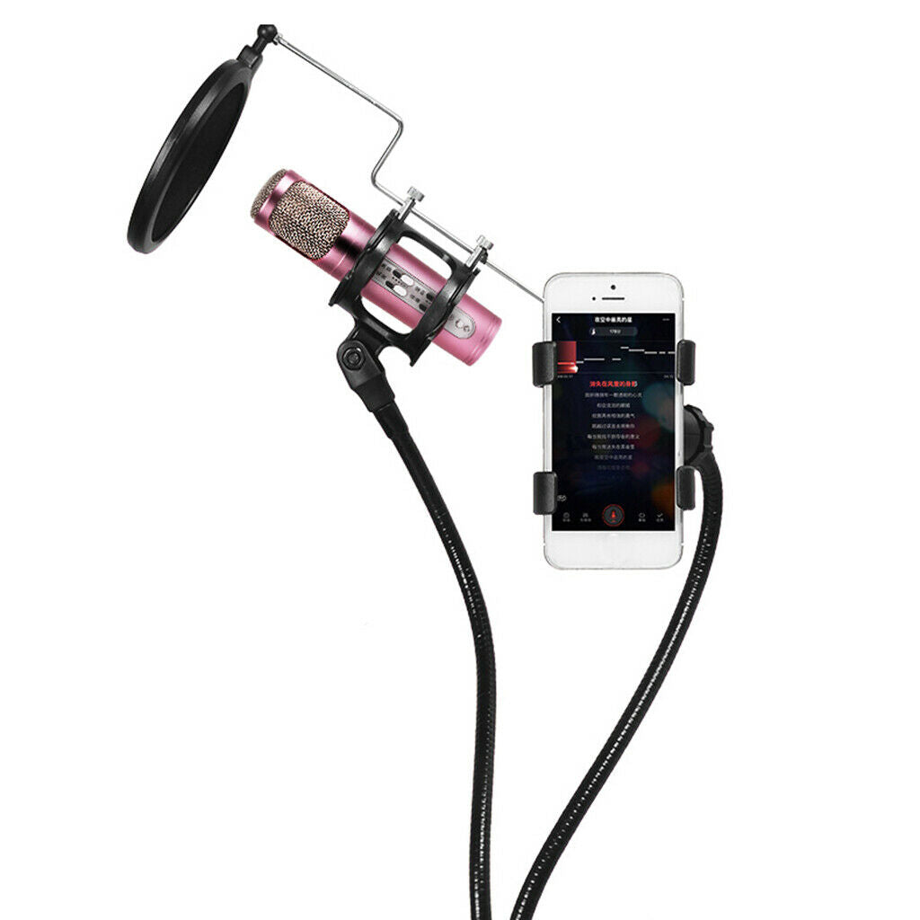 Phone + Microphone Stand   Filter Hold Width Up to 6.3 Inch Mobile Phone