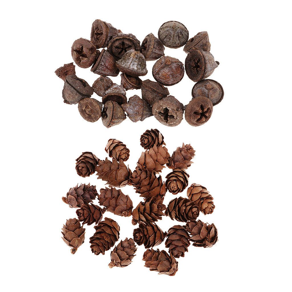100x Natural Dried Flower Pine Cone Ornament Decorative Bowl