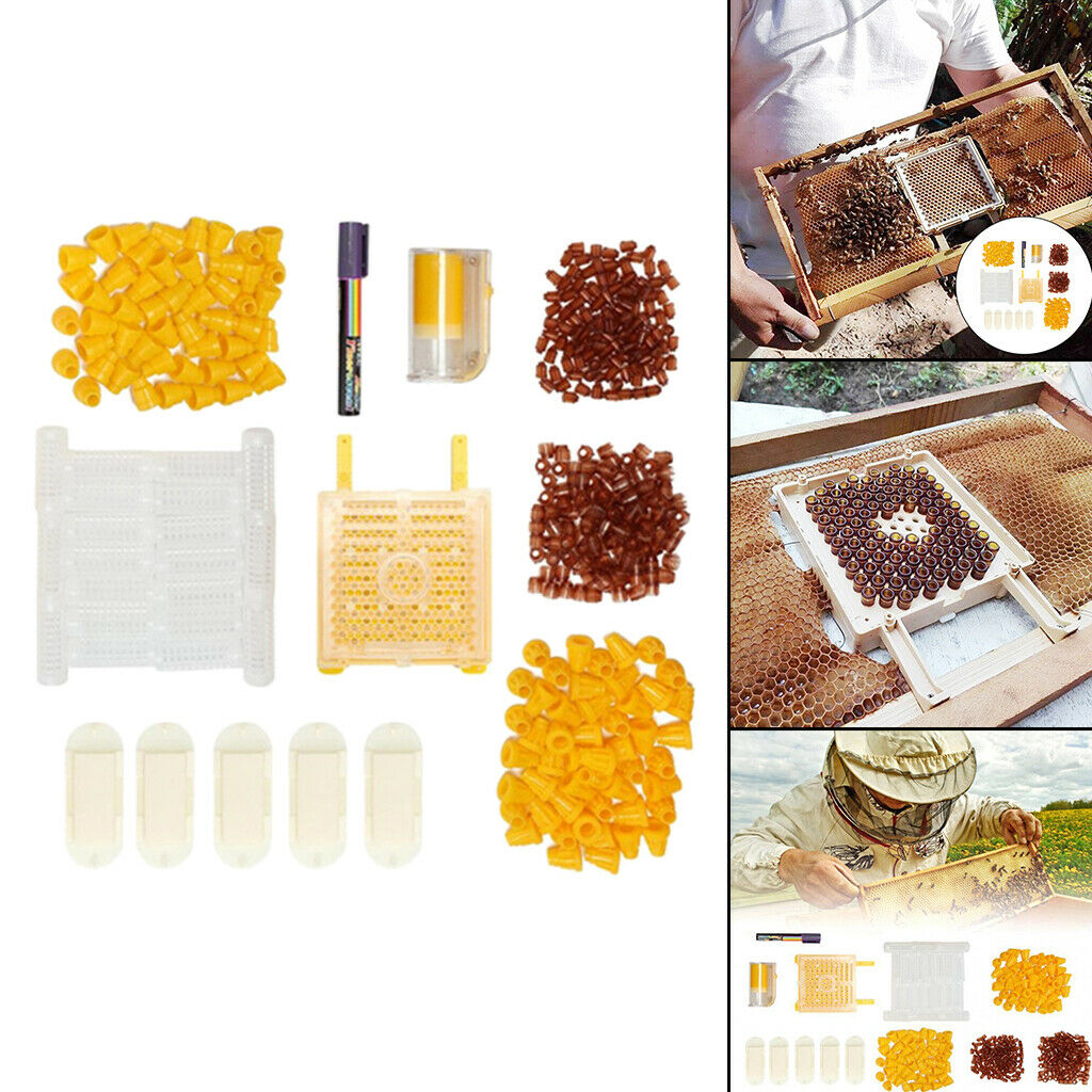 Queen Bee Rearing Grafting Kit for Apiculture Cell Cup Plastic Supplies Tool