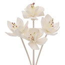 5PC Red Core Plum Flower Rattan Reed Diffuser Refill Home Aromatherapy Freshener