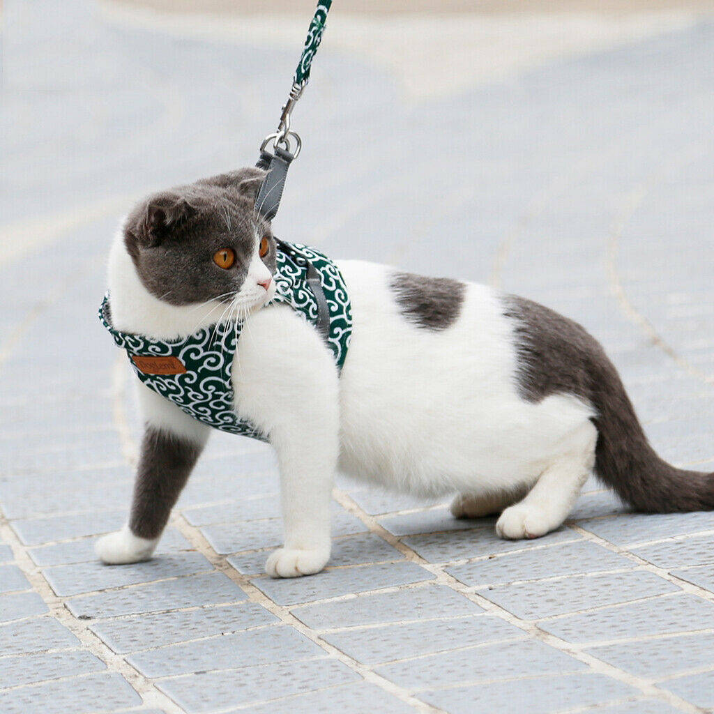 Small Pet Cat Harness Vest with Leash Cat Walking Outdoor Outfits Green-XS