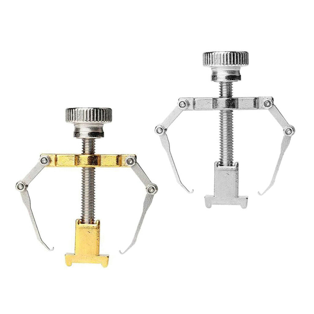 2 Pieces Alloy Ingrown Toenail Correction Lifter Toenail Straightener Tool