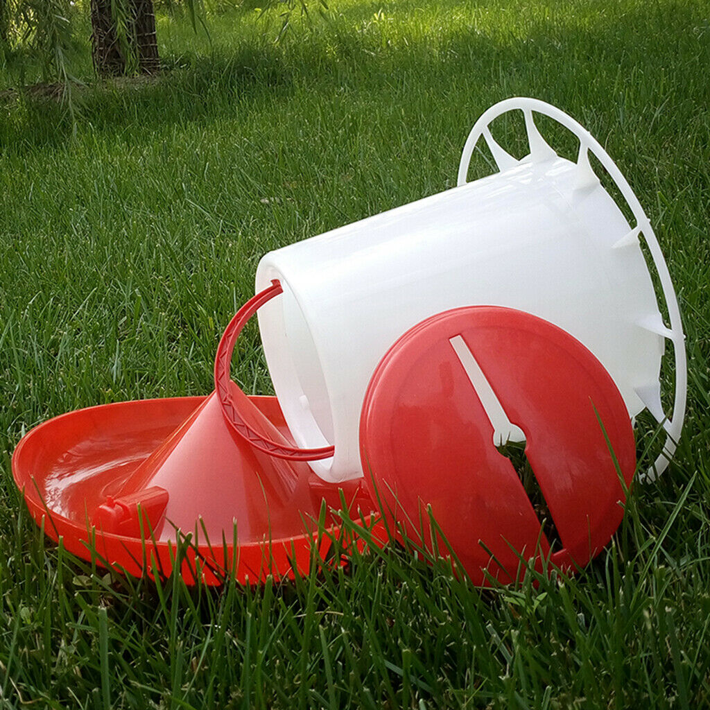 Plastic Chick Feeder Domestic Fowl Poultry Feeding Supplies 1.5kg with Lid