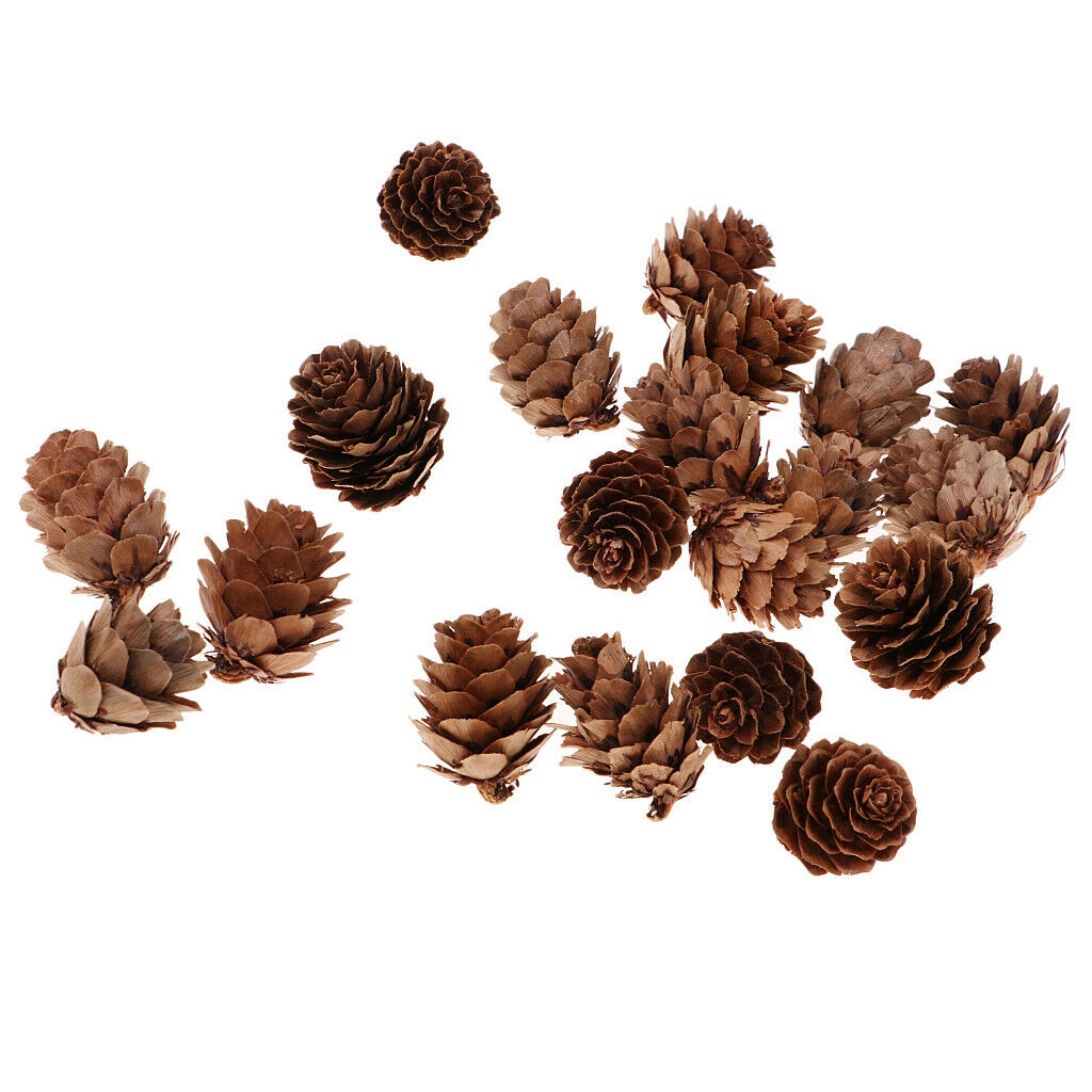 Best Ornaments For Festivals Pine Cones Logs Decor Craft