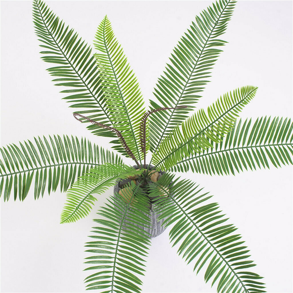 Artificial Cycas Leaves Branch Cycas Fern Leaf  With Metal Frame
