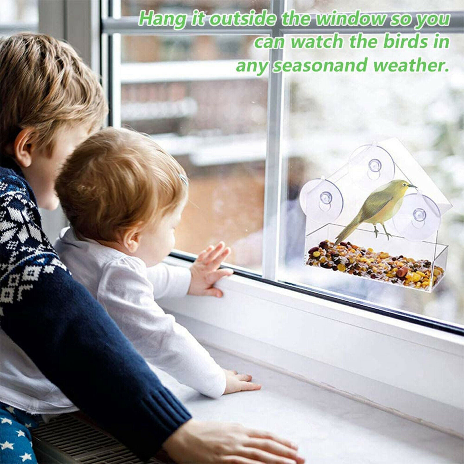 Clear Window Bird Feeder Birdfeeder Tray Birdhouse Kit Finch Patio Garden