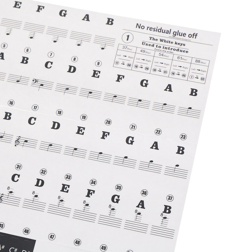 Keyboard Piano Multicolor Removable Piano and Keyboard Stickers for 49 61 76DEAU