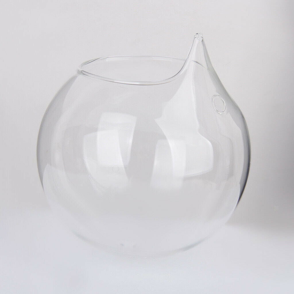 2x Flower Plant Hanging Clear Glass Vase Bottle Pot Wedding Garden Ball Decor