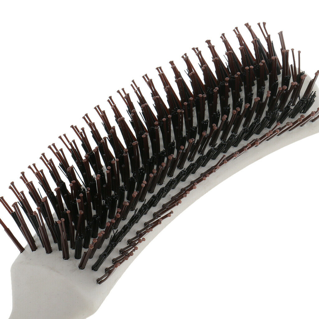 Professional Salon Styling Hairbrush Hair Brush Anti-Static Curling Long Hair
