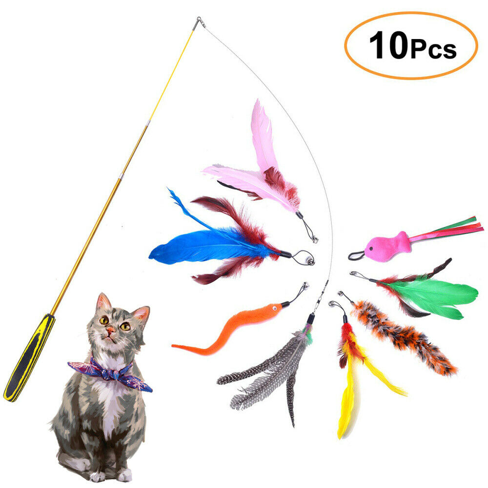 Interactive Cat Teaser Wand Rod Bird Feather Wire Chaser Funny Toys Retractable