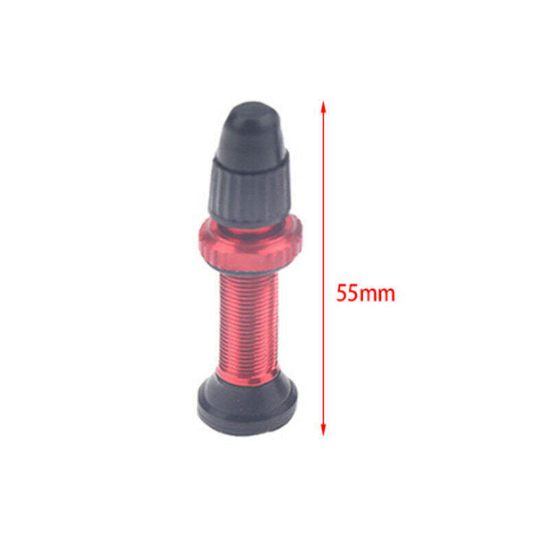 2 Pieces 1MM Bicycle Tire Valve with 40MM Vacuum Nozzle To Send A Type Wrench