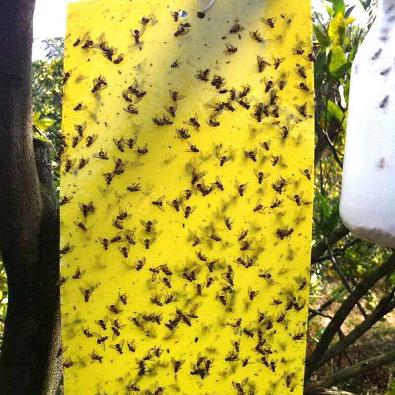Double-sided insect trap Yellow board waterproof insect killer trap insect trap