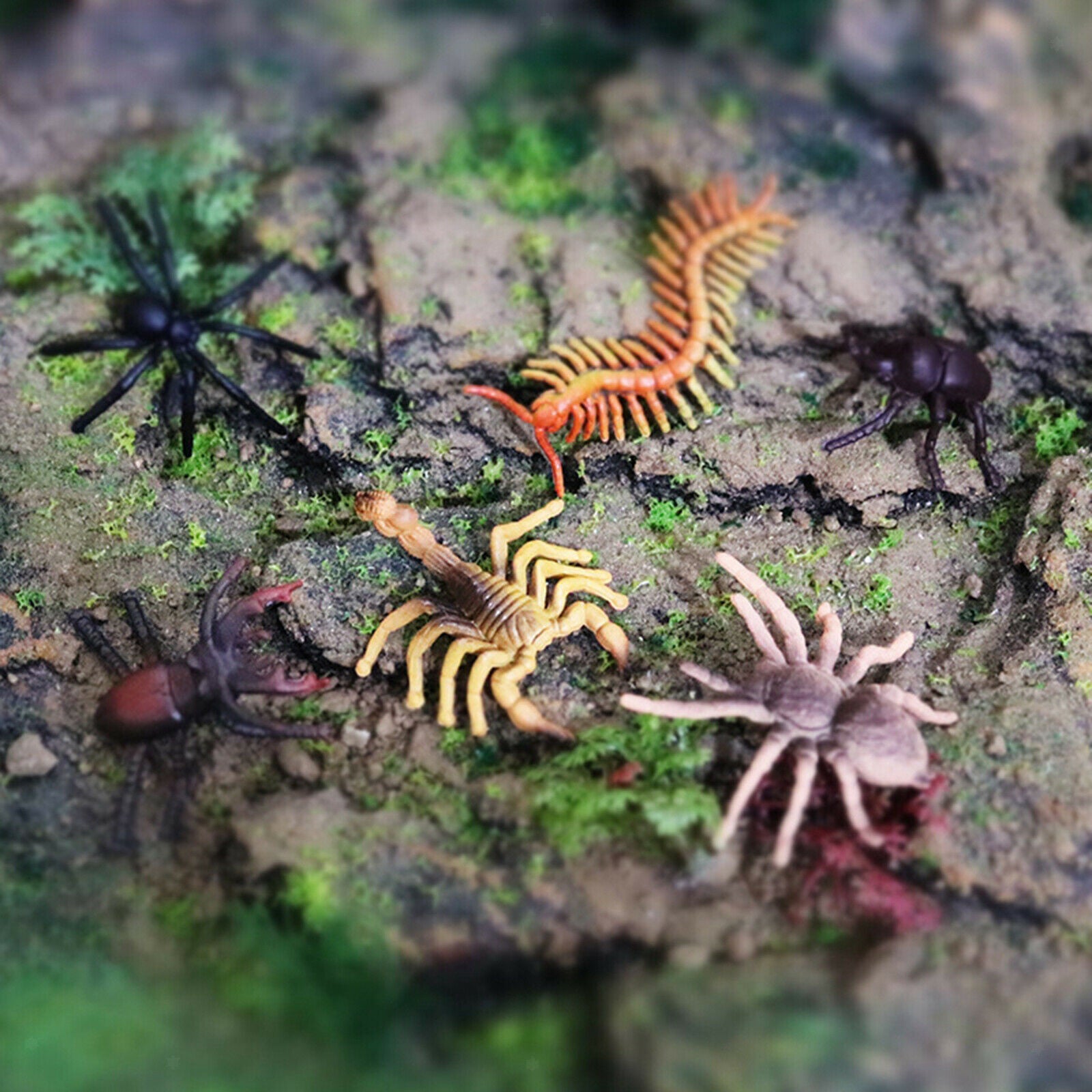 3X 12pcs Plastic Insect Figures Toys Bugs Mantis Scorpion Bee Jungle Decor