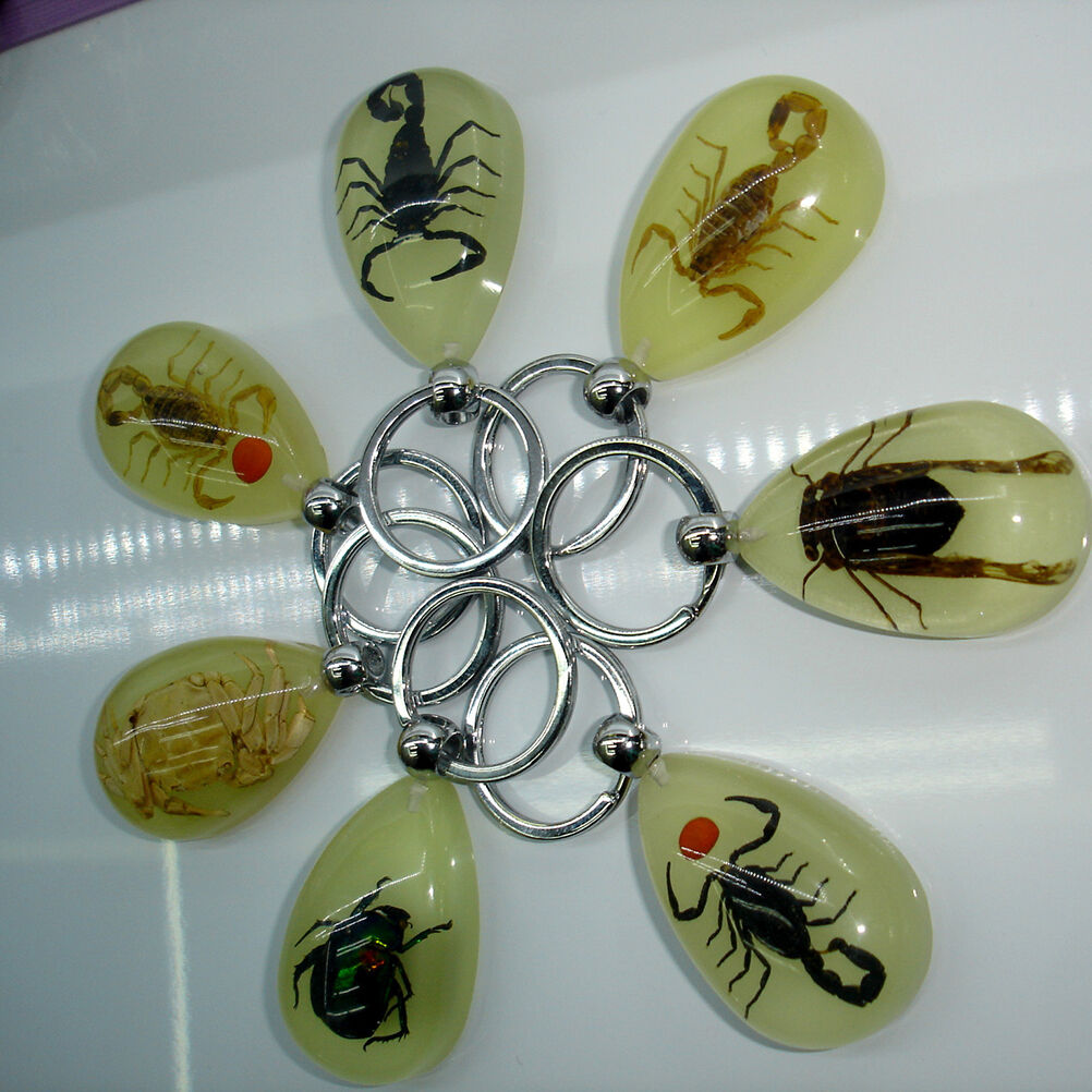 Scorpion Glow Lucite Keyring Keychain Insect Jewelry Taxidermy Gif.l8