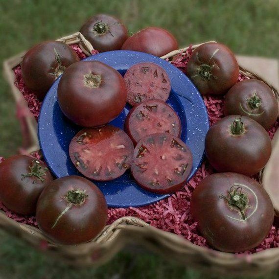 100PCS Seeds Giant Purple Tomato Cherokee Organic Edible Vegetables Home Garden