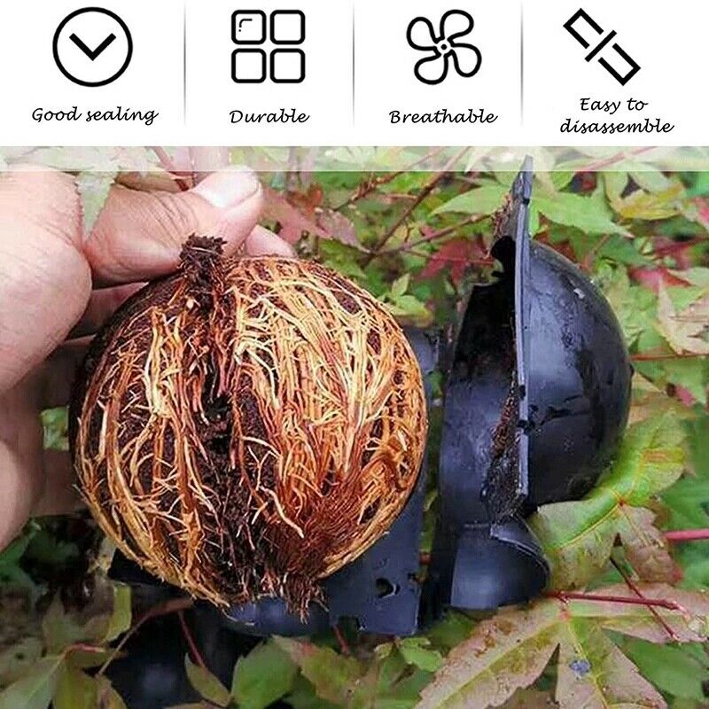 5Pcs 12cm Plant Root Growing Box High Pressure Gardening Plant Root Ball BreU3E1