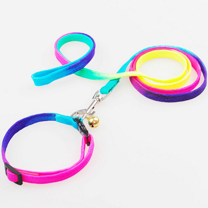 Small Dog Puppy Doggy MultiColor Rainbow Harness Lead Luminous Lead Leash ATDD