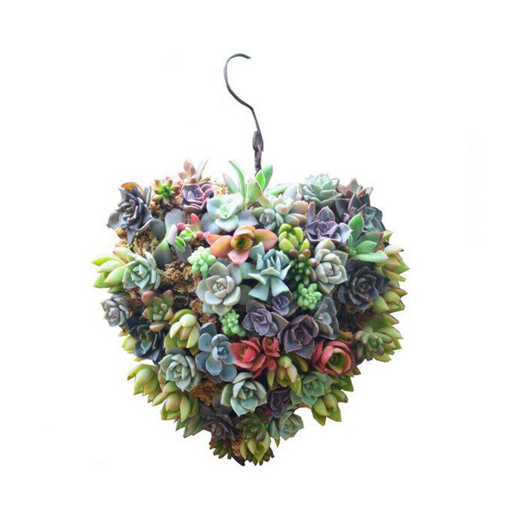 14cm Rustic Iron Wire Heart Shape Succulent Pot Iron Hanging Planter Plant,