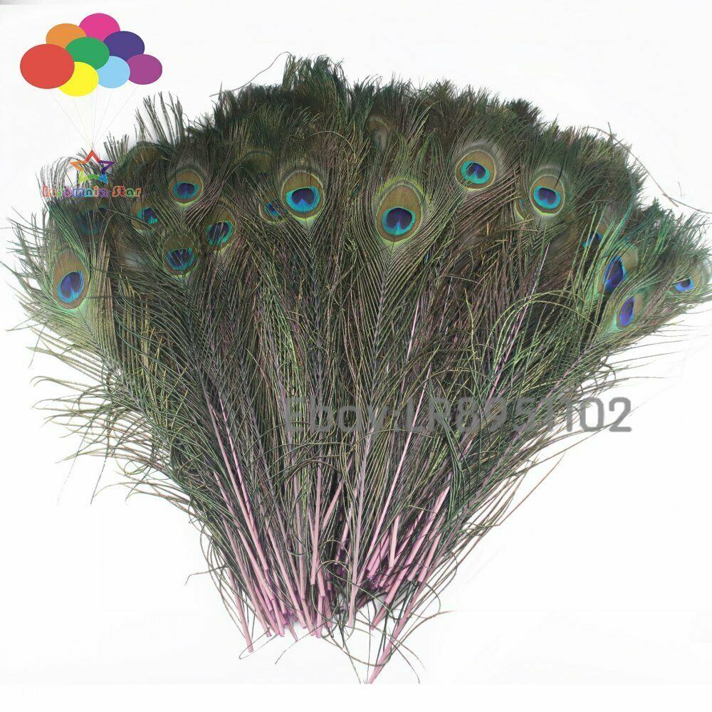 New 100 pcs / Lot pink Beautiful Peacock Feathers 40-45 cm DIY Weddings Reunions