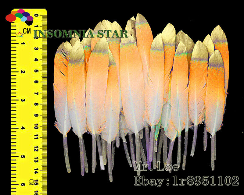 100pcs Fluorescent orange Colorful Natural Goose Feather 10-15cm/4-6 inches