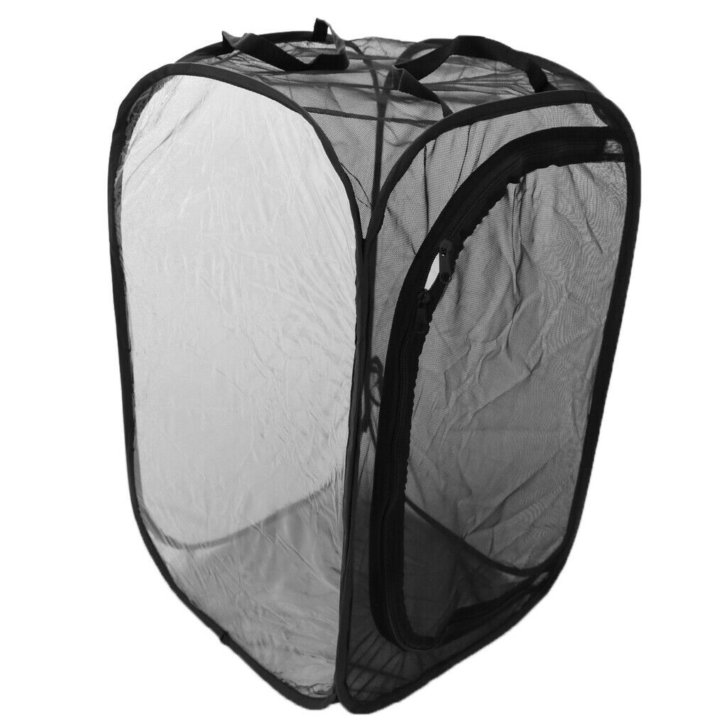 2 Pcs Foldable Insect and Butterfly Habitat House Terrarium Breeding Cage