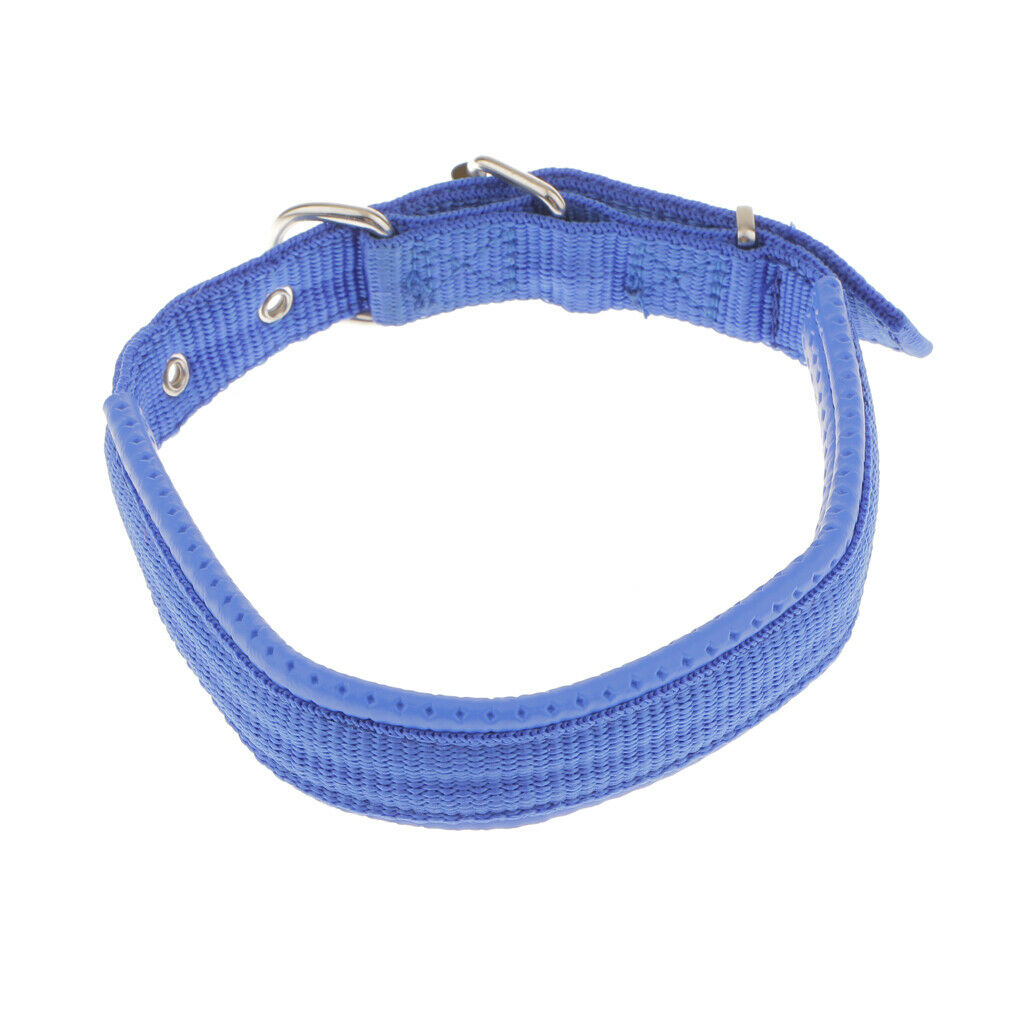Adjustable Padded Nylon Pet Puppy Dog Basic Collar Safety Neck Strap Blue_S
