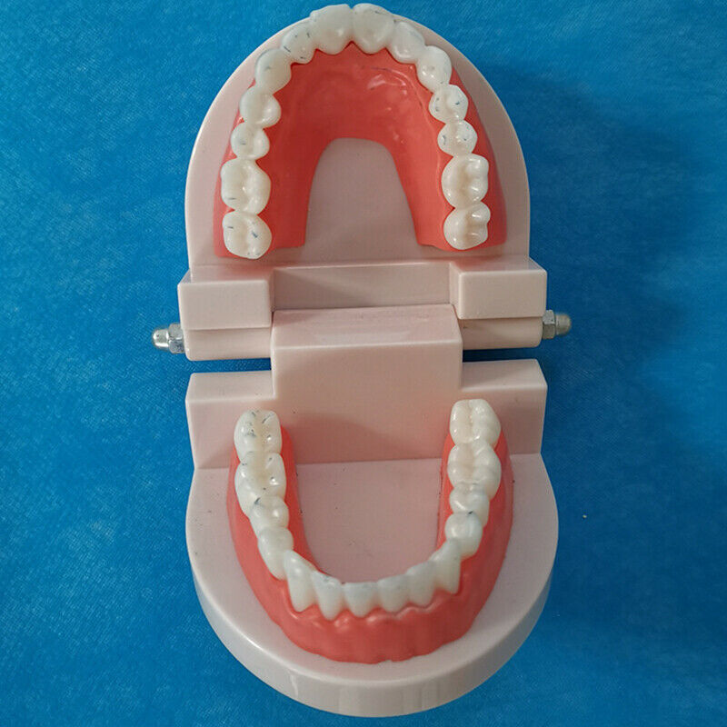 Educational Toys for Children Kids Intelligence Brushing Tooth Teaching AidsFCA