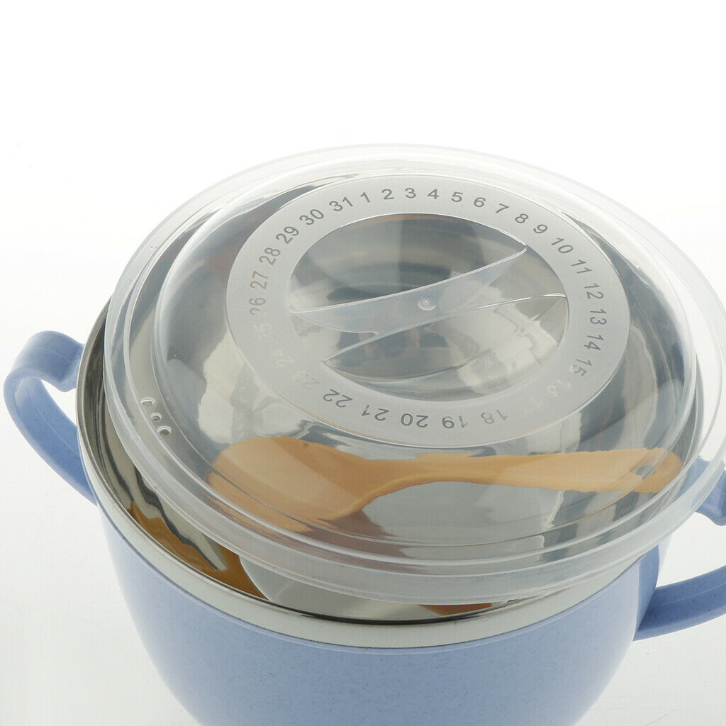 Set of 3 Stainless Steel Serving Bowls with Lid and Spoon - for Fruit / Rice /