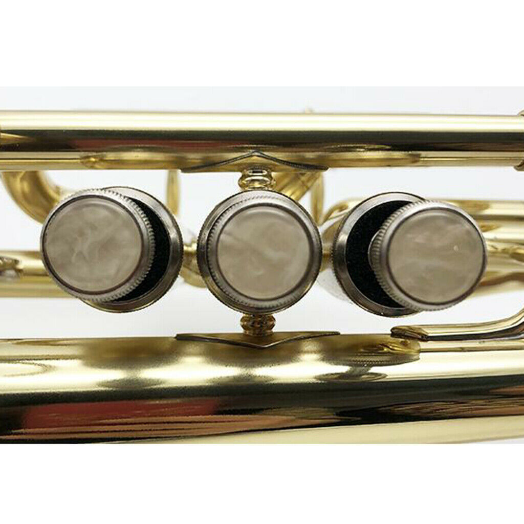 9x Plastic Trumpet Cornet Finger Key Buttons Mica Inlays for Trumpet Accs