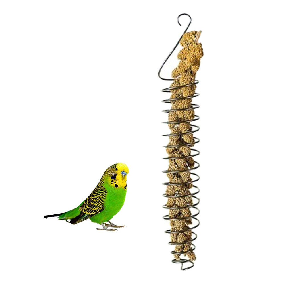 Pet Bird Parrot Food Fruit Basket Millet Rice Feeding Holder Cage Hanging