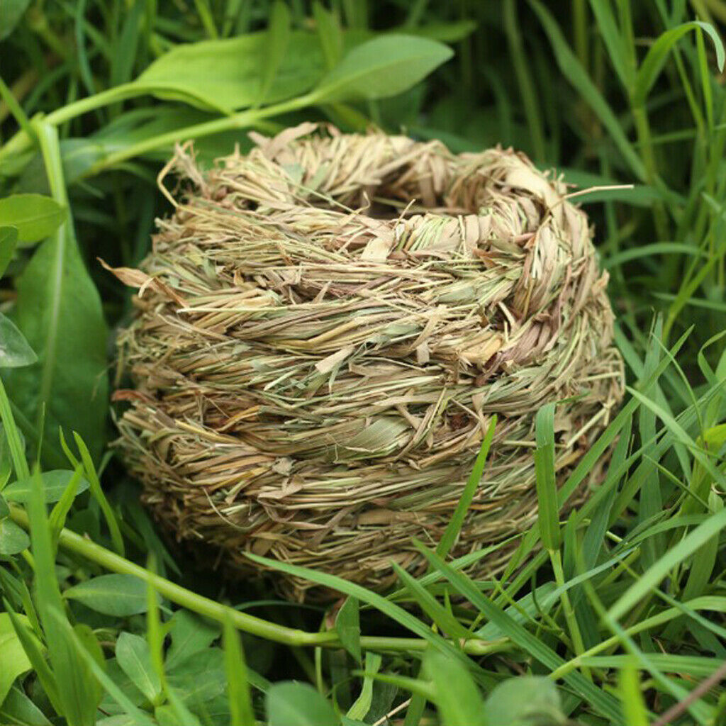 2Pcs Natural Straw Birds Nest, Great for Wedding Favors, Party Favors, Florals
