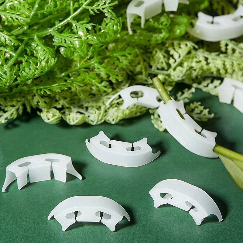 Plant Bending Agent Suitable for Low Pressure Training No Pile-Like Flower SP7O1
