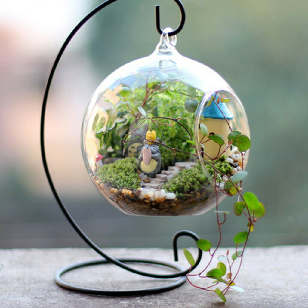Glass Vase Hanging Ball Shape + Iron Plant Support Plant Holder Hanging Holder