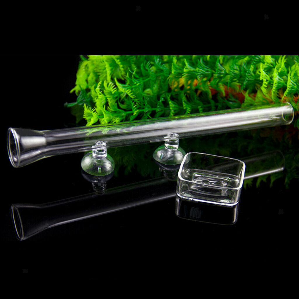 Pack of 2 High Quality Transparent Shrimp Feeding Food Tray Feeder For Aquarium