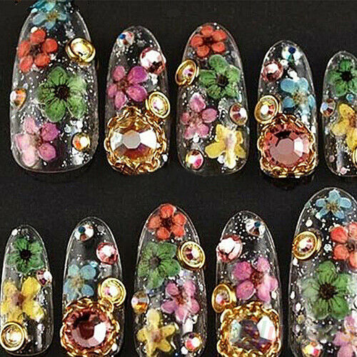 Dry Flower Salon Acrylic UV Gel Nail Art Manicure Crafts DIY Design Decorations