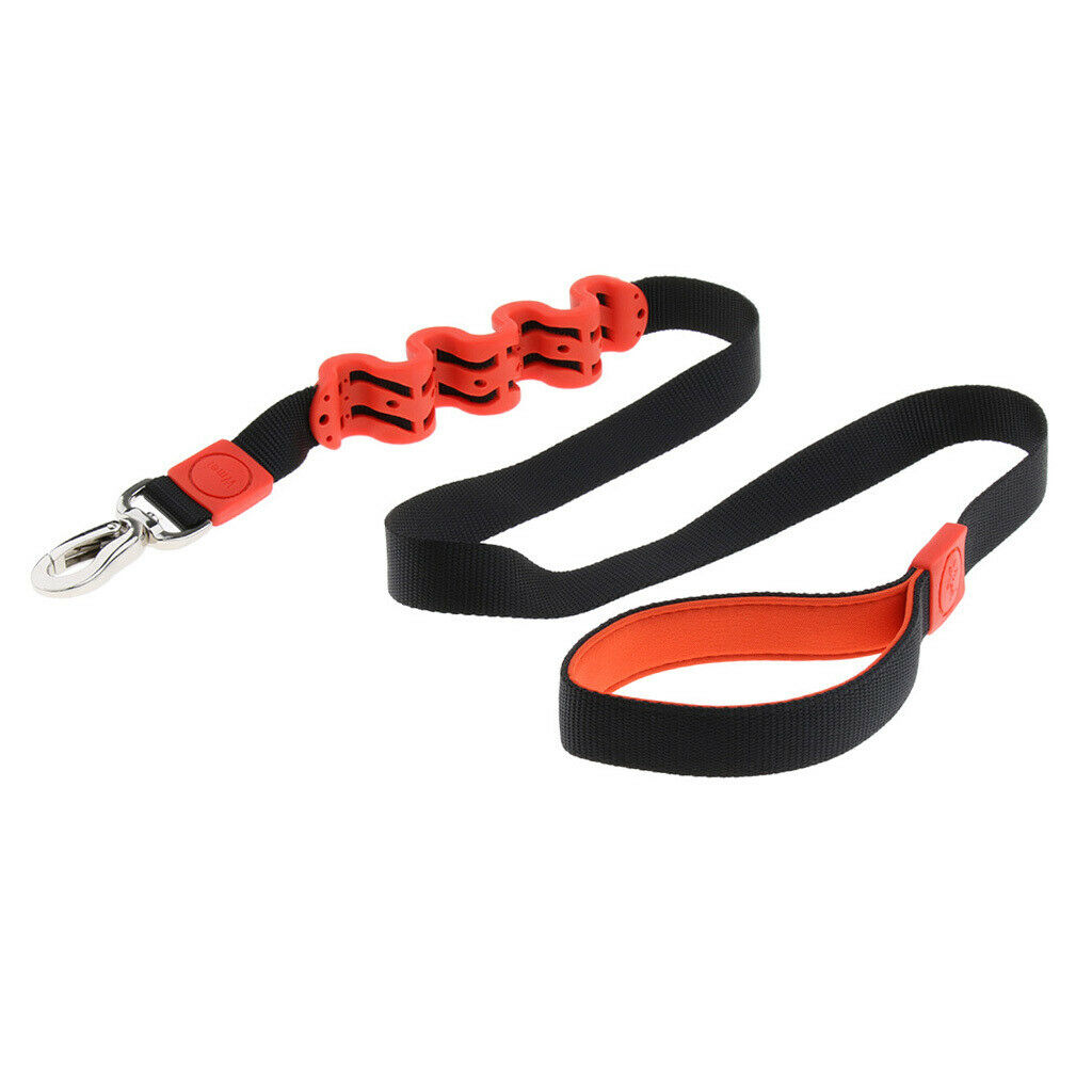 Pet Dog Walking Training Belt Bungee Leash Anti-Shock Stretch Rope Black