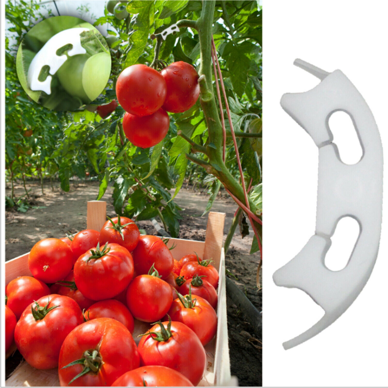 100Pcs Plant Bender Elbows Tomato Clips for Low Stress Training Plant Trainers`