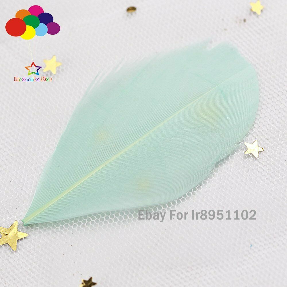 Mint DIY High Quality 100 pcs 5-7 cm Goose feather for Decor Accessories Craft