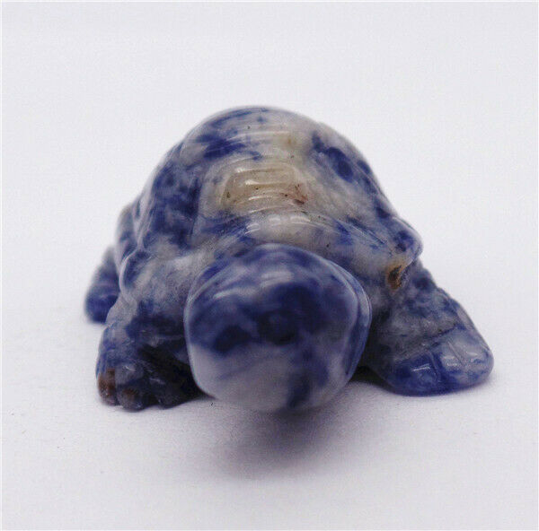 37x26x16mm Natural Blue Sodalite Carved Tortoise Decoration Statue Decor HH7914