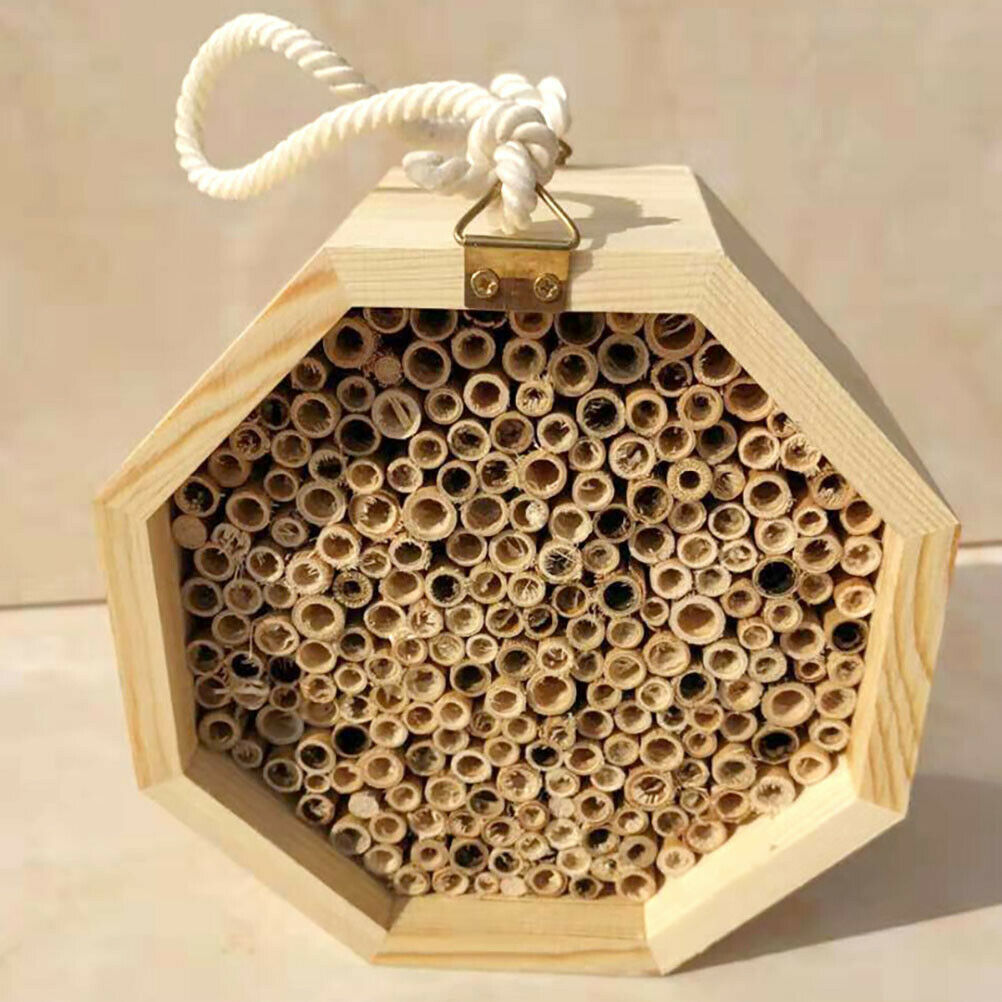 1Pcs Wooden Bee House Set Tube Beekeeping Box Bees Nesting Box Garden Insect Box