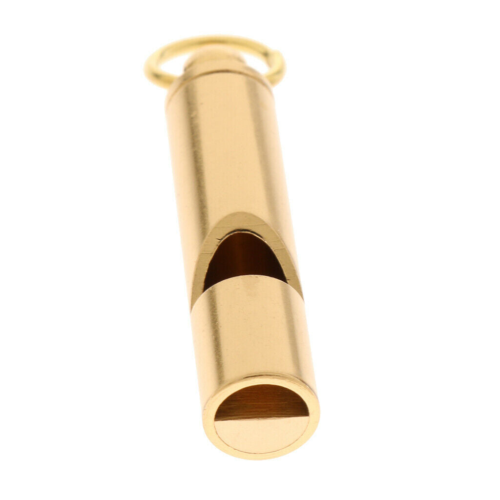 Professional Dog Whistle for Bark Control and Obedience Training Outdoor- Train
