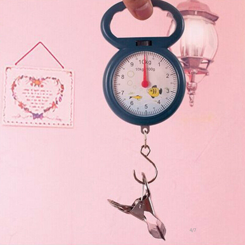 Portable Mini Pointer Hook Hanging Weighing Scales Weighing Scales for Fi.l8